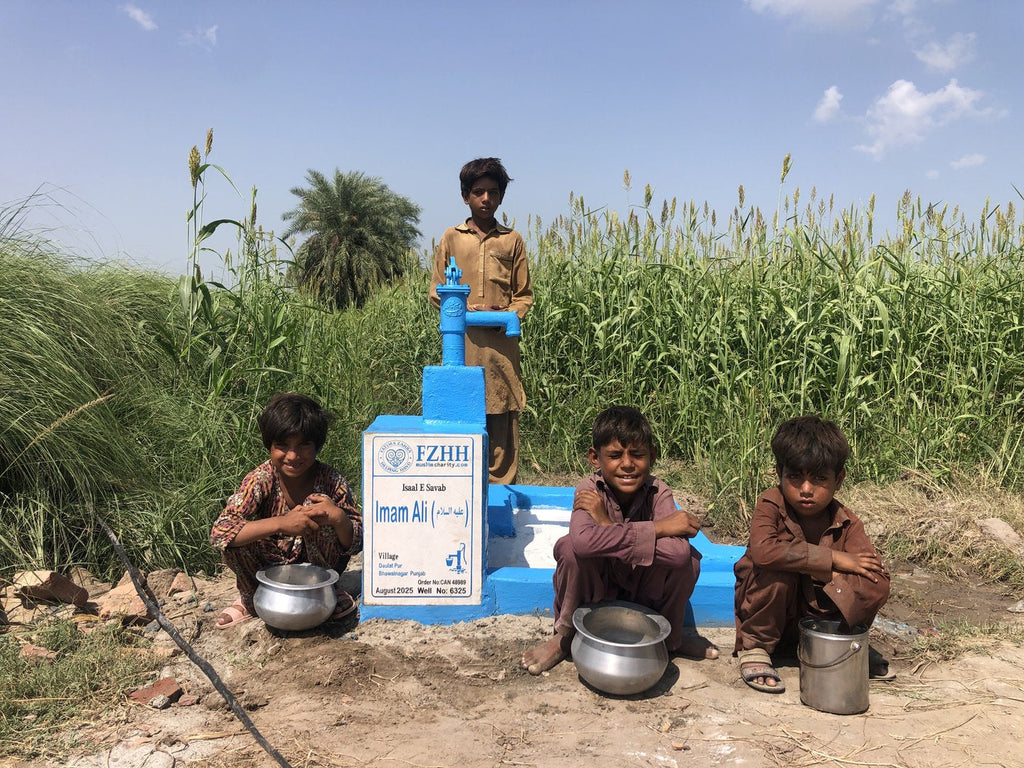 Imam Ali (عليه السلام ) - Order no. CAN 48989 - Well no. 6325