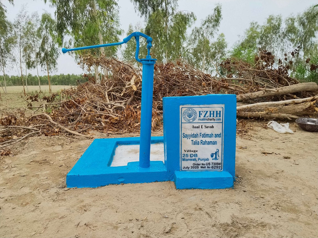 Sayyidah Fatimah and Talia Rahaman - Order no. US 73094 - Well no. 6292