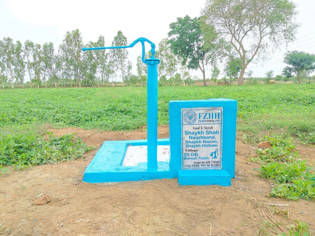 Shaykh Shah Naqshband, Shaykh Nazim, Shaykh Hisham - Order no. US 73069 - Well no. 6289