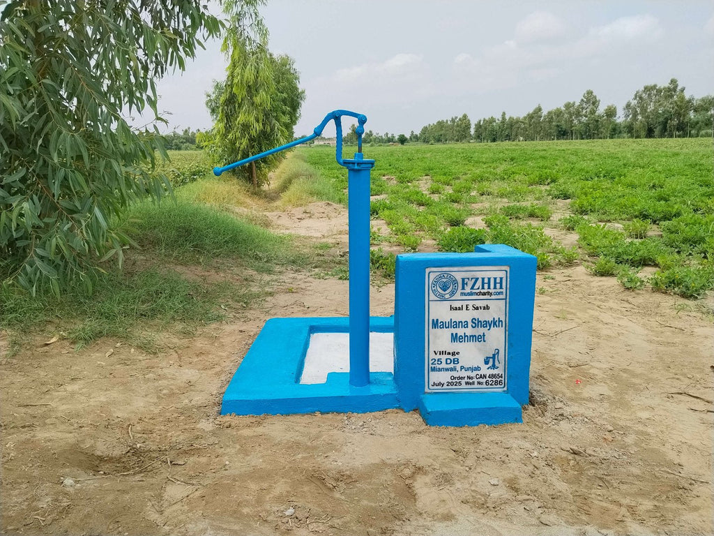 Maulana Sheikh Mehmet - Order no. CAN 48654 - Well no. 6286