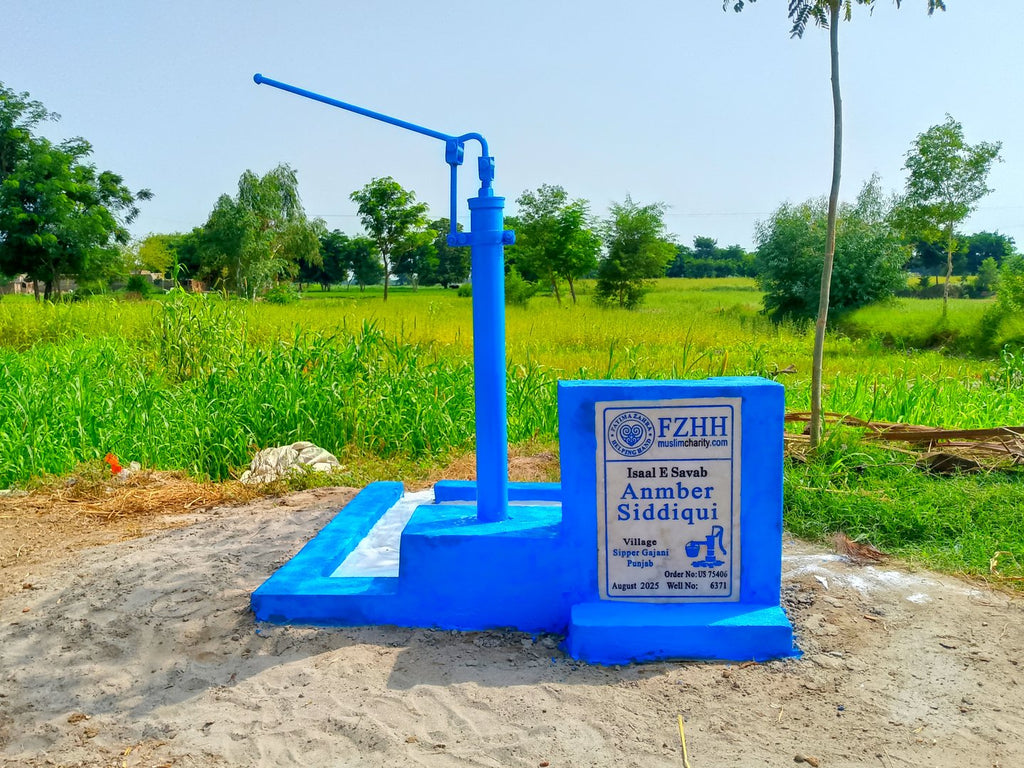 Anmber Siddiqui - Order no. US 75406 - Well no. 6371