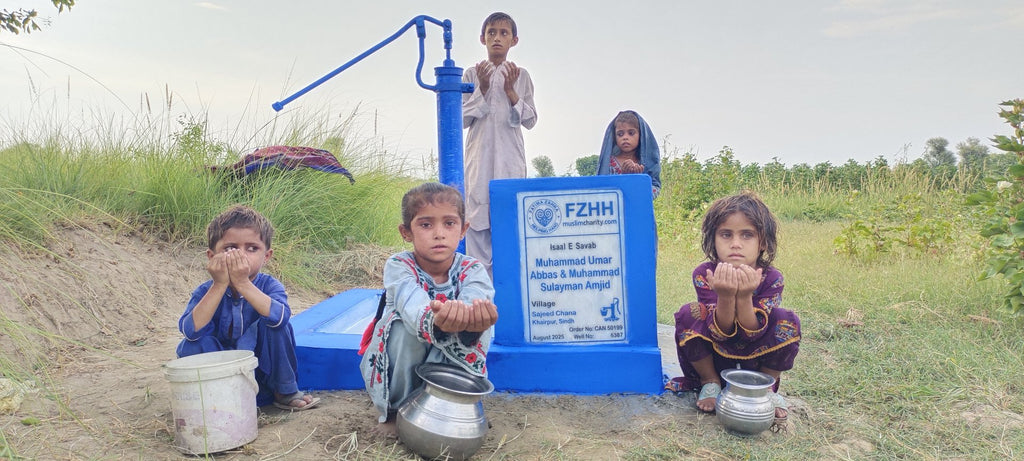 Muhammad Umar Abbas & Muhammad Sulayman Amjid - Order no. CAN 50199 - Well no. 6387