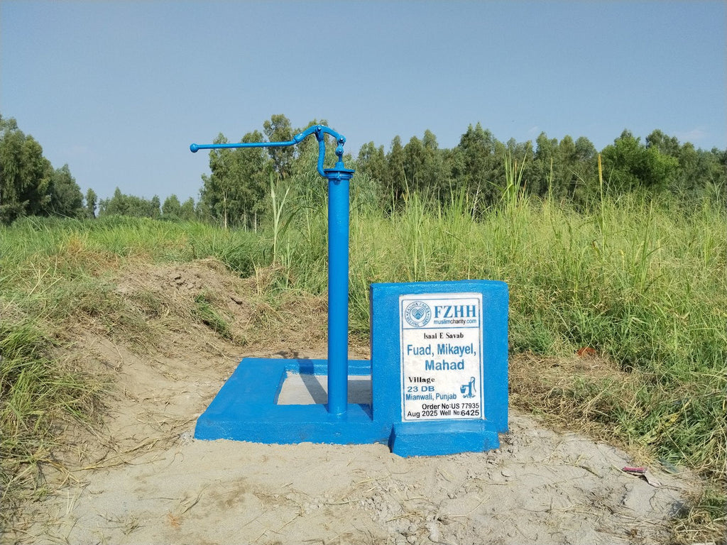 Fuad, Mikayel, Mahad - Order no. US 77935 - Well no. 6425