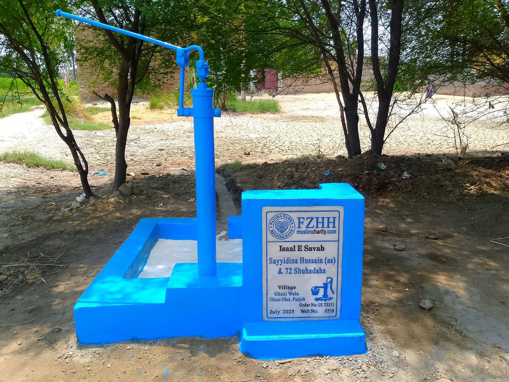 Sayyidina Hussain (as) & 72 Shuhadahs - Order no. US 73152 - Well no. 6299