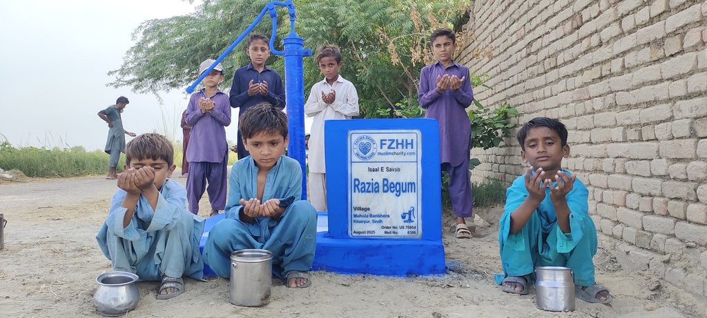 Razia Begum - Order no. US 75954 - Well no. 6386