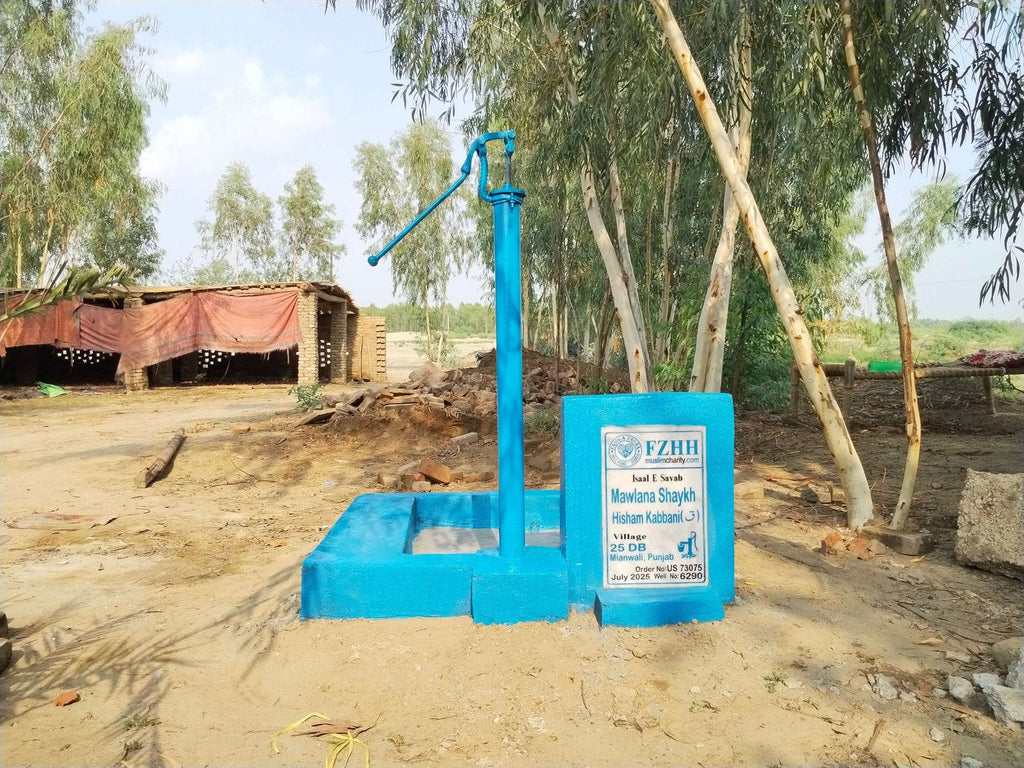 Mawlana Shaykh Hisham Kabbani (ق) - Order no. US 73075 - Well no. 6290