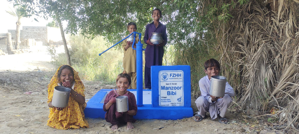 Manzoor Bibi, , - Order no. US 83810 - Well no. 6534