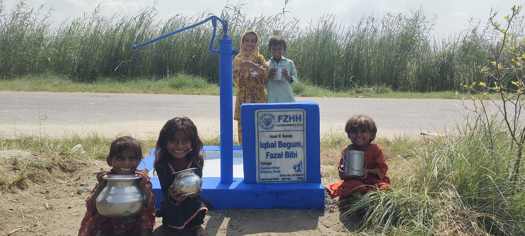 Iqbal Begum, Fazal Bibi - Order no. US 80234 - Well no. 6456