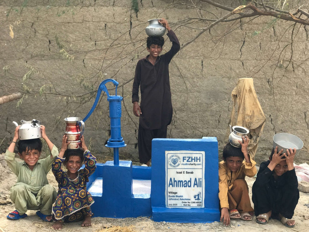 Ahmad Ali - Order no. CAN 48538 - Well no. 6265