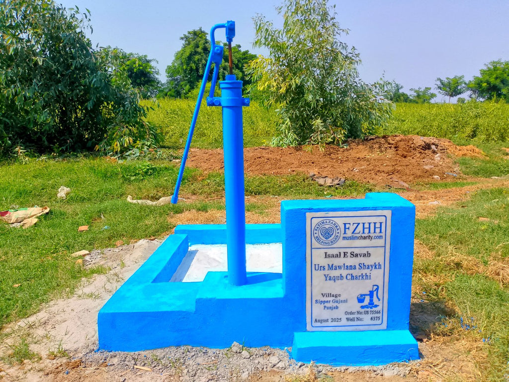 Urs Mawlana Shaykh Yaqub Charkhi , , - Order no. US 75566 - Well no. 6375