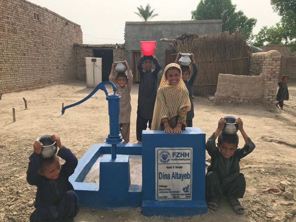 Dina Altayeb - Order no. CAN 48539 - Well no. 6266