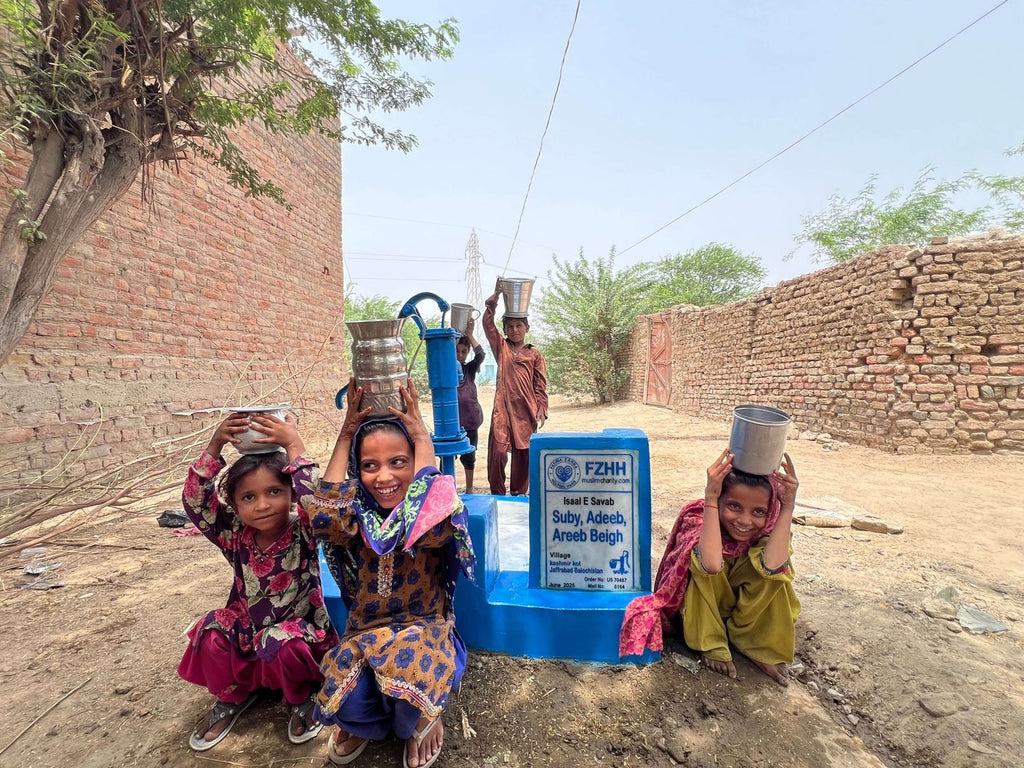 Suby, Adeeb, Areeb Beigh. - Order no. US 70487 - Well no. 6164