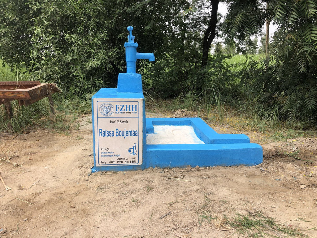 Raïssa Boujemaa - Order no. US 74477 - Well no. 6351