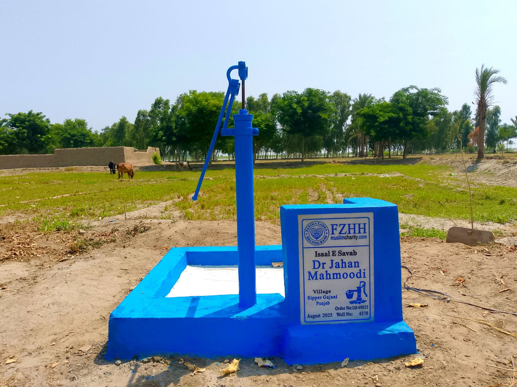 Dr Jahan Mahmoodi - Order no. CAN 49853 - Well no. 6370