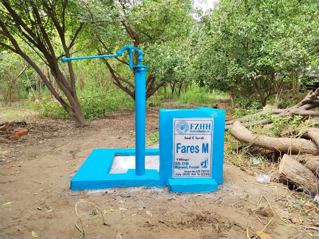 Fares M - Order no. US 73110 - Well no. 6295