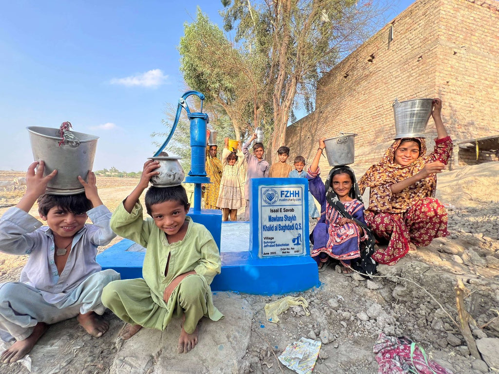 Mawlana Shaykh Khalid al Baghdadi Q.S. - Order no. PAK  - Well no. 6161