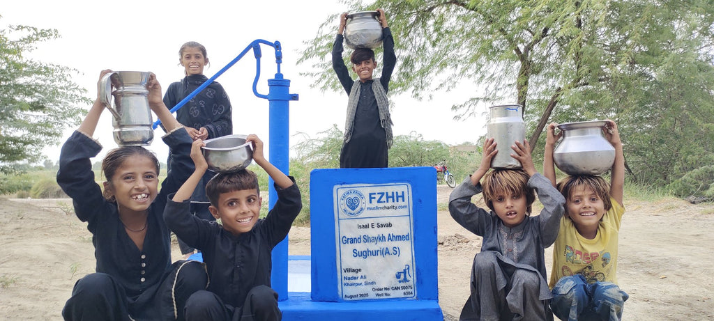 Grandshaykh Ahmed Sughuri(A.S) - Order no. CAN 50075 - Well no. 6384