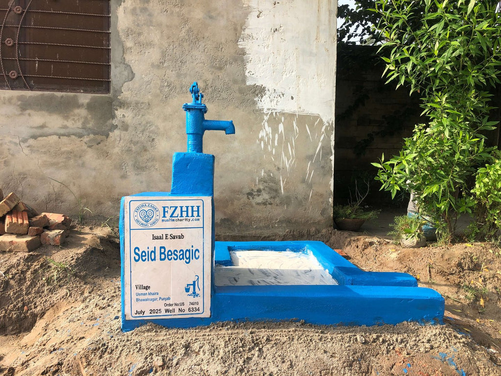 Seid Besagic - Order no. US 74010 - Well no. 6334