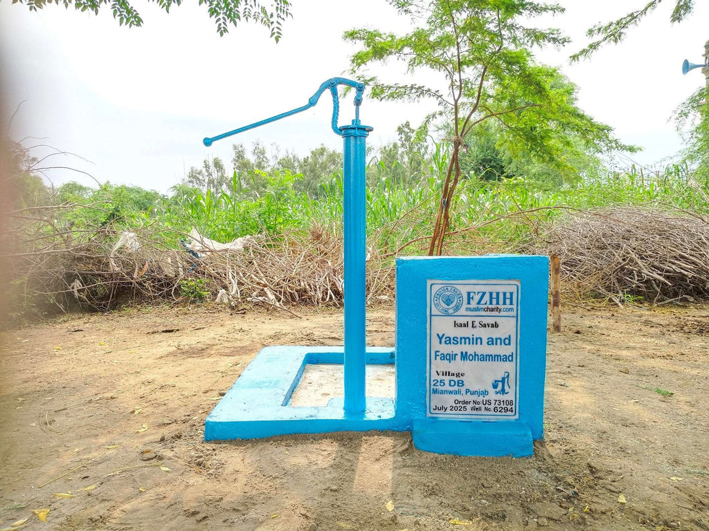 Yasmin and Faqir Mohammad - Order no. US 73108 - Well no. 6294