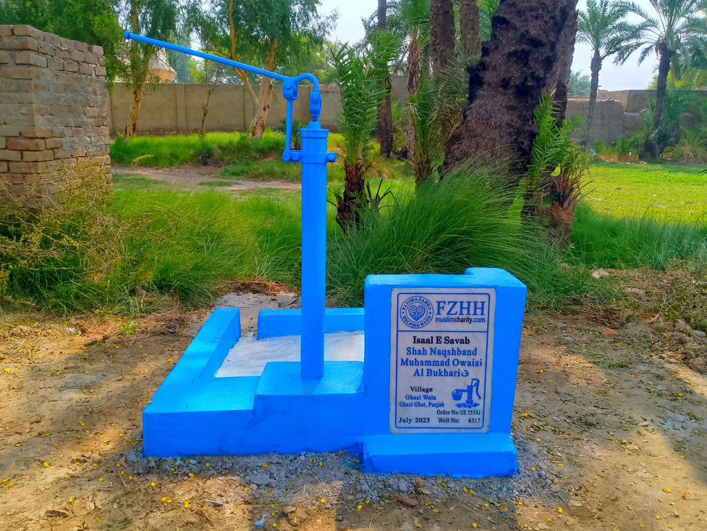 Shah Naqshband Muhammad Owaisi Al Bukhariق - Order no. US 73541 - Well no. 6317