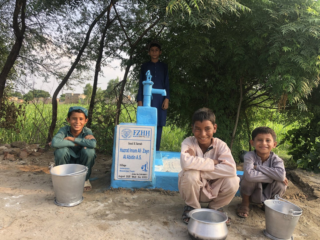 Hazrat Imam Ali Zayn Al Abidin a.s, - Order no. CAN 49411 - Well no. 6353