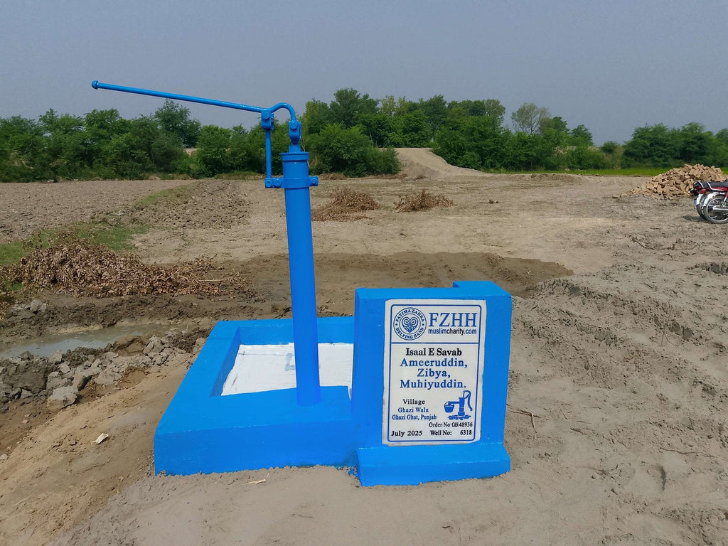 Ameeruddin,Zibya,Muhiyuddin. - Order no. CAN 48936 - Well no. 6318