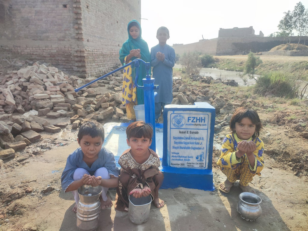 Sayyidatina Zainab Al-Kubra(A.S), Sayyidina Sayyid Amir Kula... - Order no. CAN 54079 - Well no. 6586