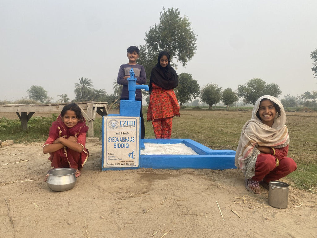 SYEDA AISHA AS SIDDIQ - Order no. US 82442 - Well no. 6499