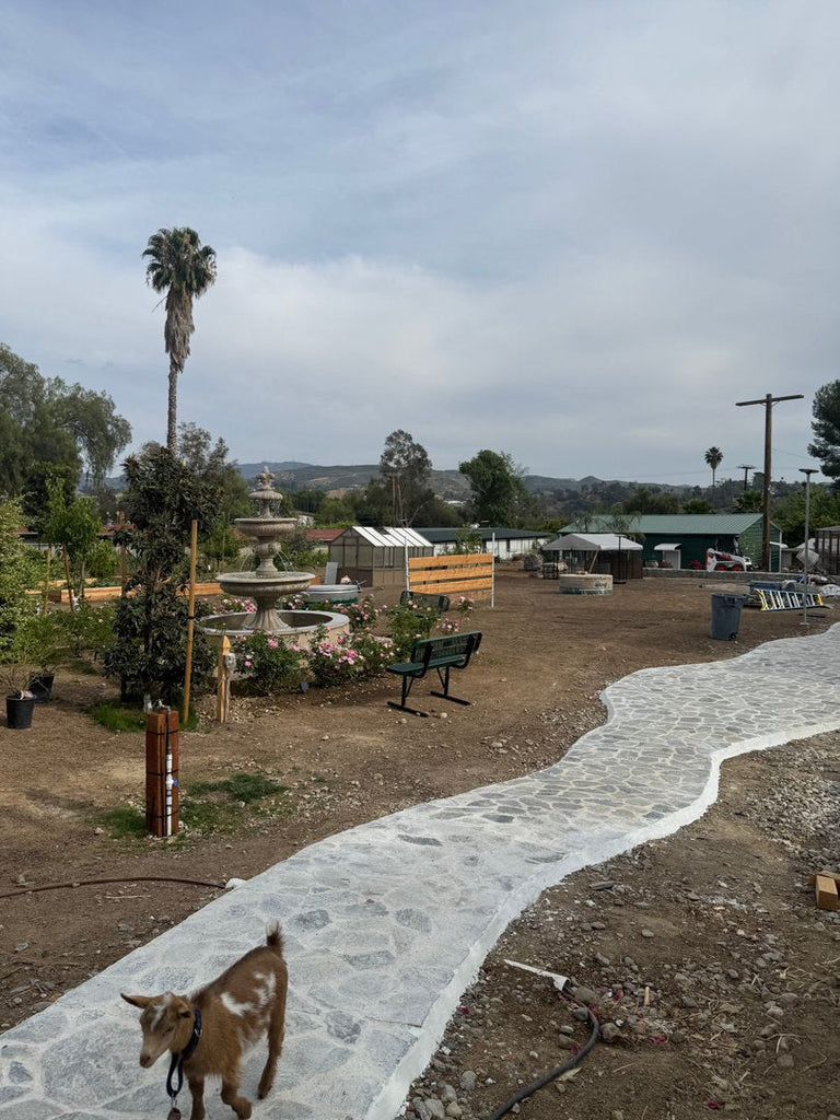 Masjid & Farmhouse Updates Part 2 in Los Angeles, California, USA - Apr 9, 2026