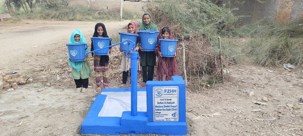 Sultan Ul Awliyah Maulana Sheikh Yousuf Sulthan Sha Qadiri C... - Order no. CAN 55468 - Well no. 6667