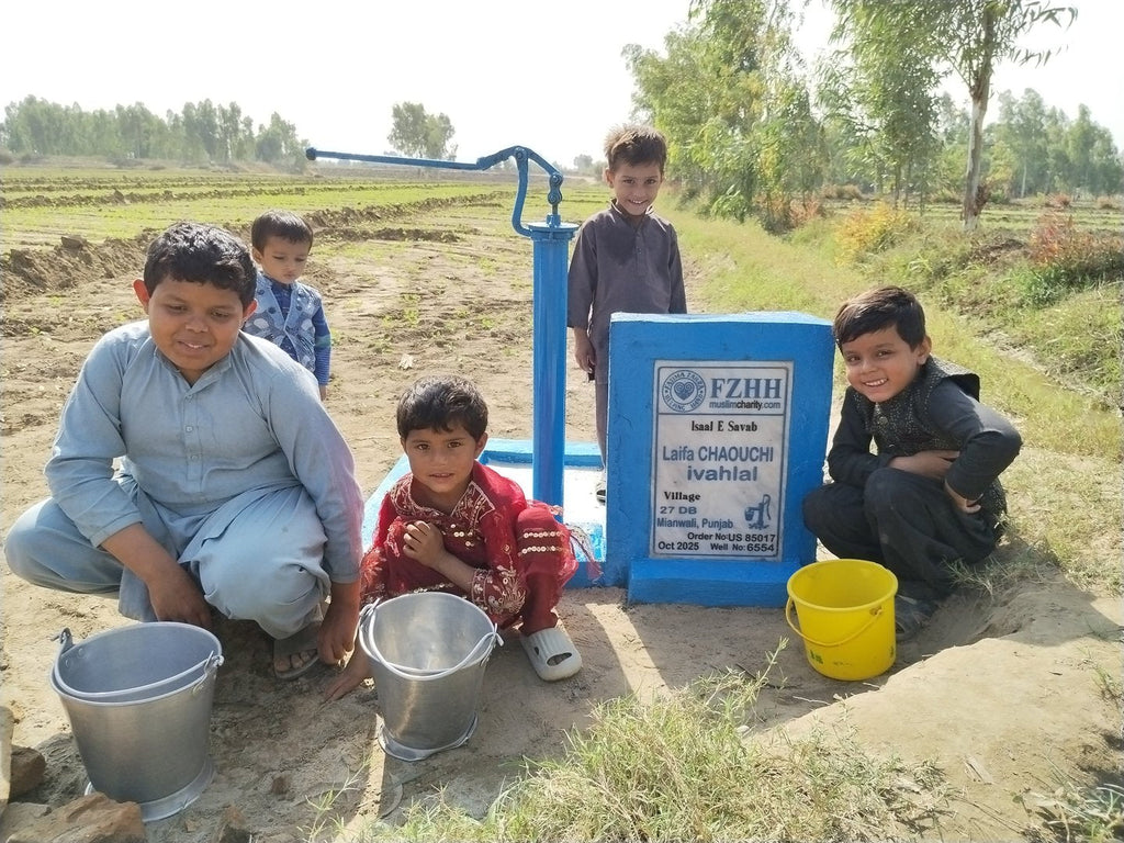 Laifa CHAOUCHI ivahlal - Order no. US 85017 - Well no. 6554