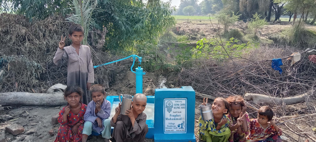 Sindh, Pakistan – Prophet Muhammad ﷺ – FZHH Water Well# 972