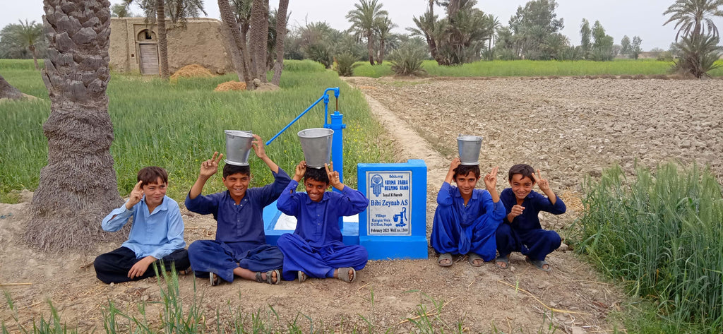 Punjab, Pakistan – Bibi Zeynab AS – FZHH Water Well# 1369