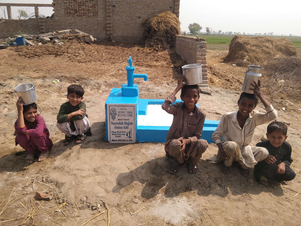 Punjab, Pakistan – Sayyedah Hajjah Amina Adil – FZHH Water Well# 1388