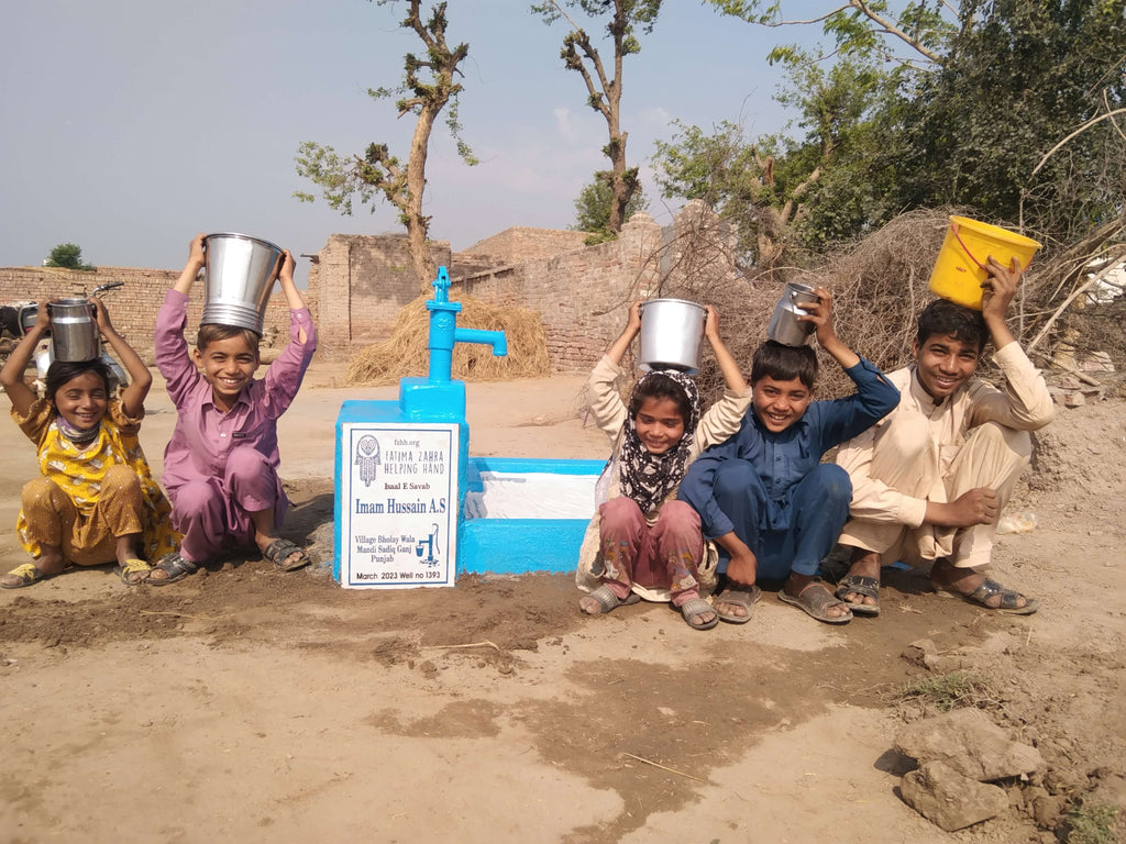 Punjab, Pakistan – Imam Hussain A.S – FZHH Water Well# 1393