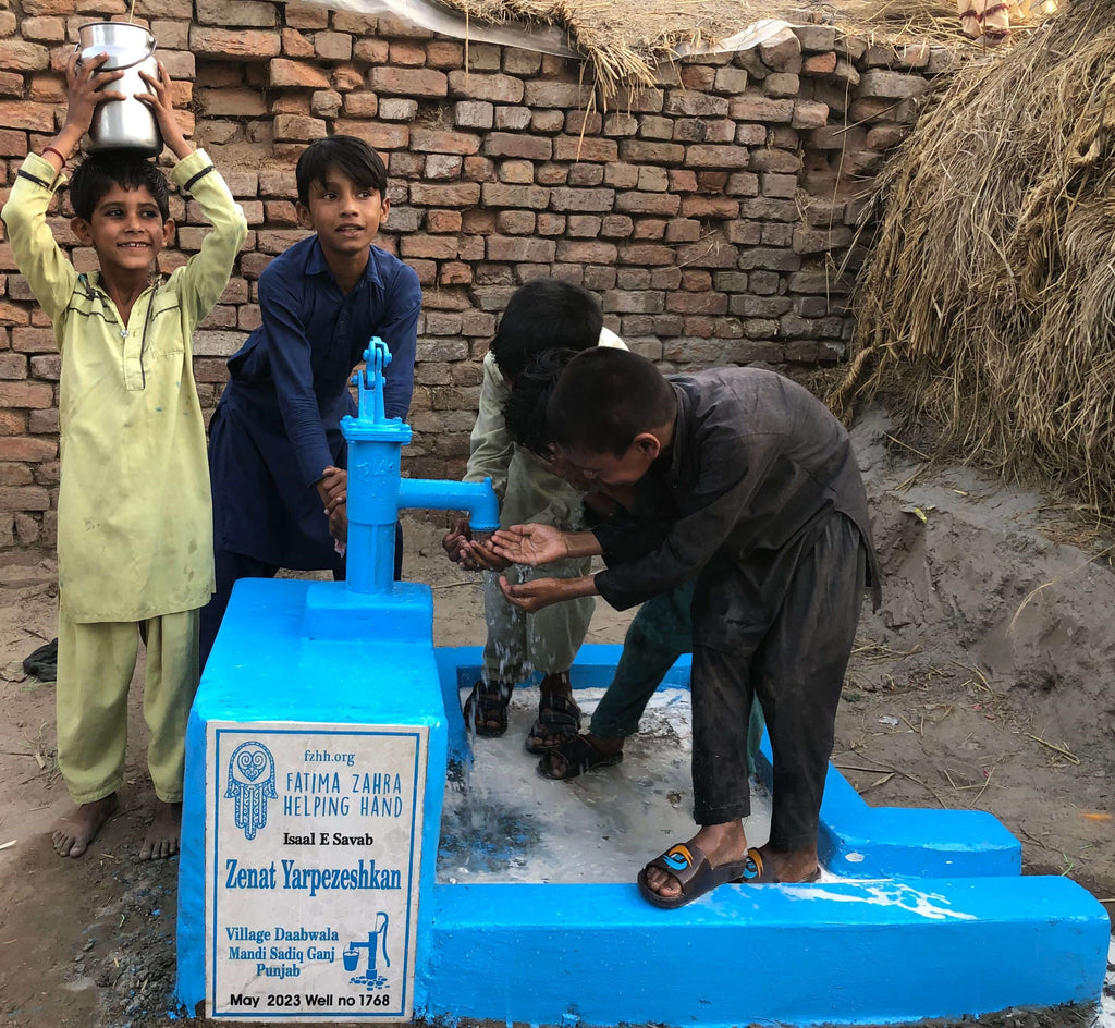 Punjab, Pakistan – Zenat Yarpezeshkan – FZHH Water Well# 1768
