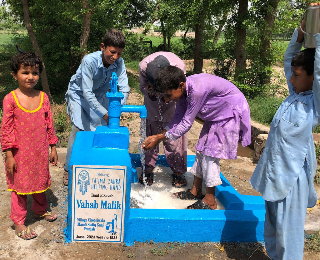 Punjab, Pakistan – Vahab Malik – FZHH Water Well# 1833