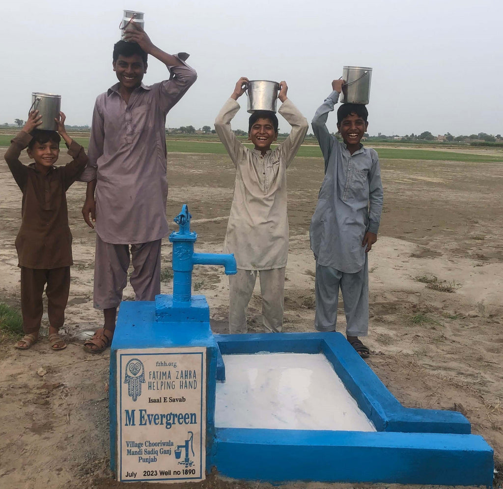 Punjab, Pakistan – M Evergreen – FZHH Water Well# 1890