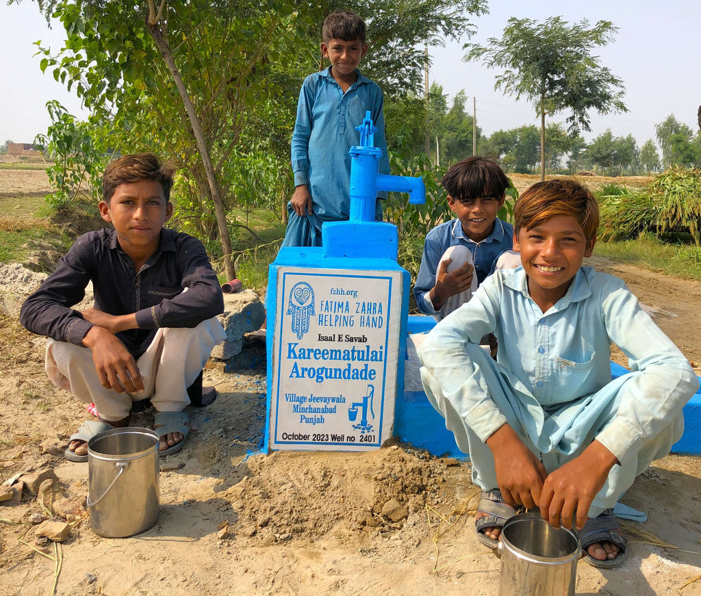 Punjab, Pakistan – Kareematulai Arogundade – FZHH Water Well# 2401