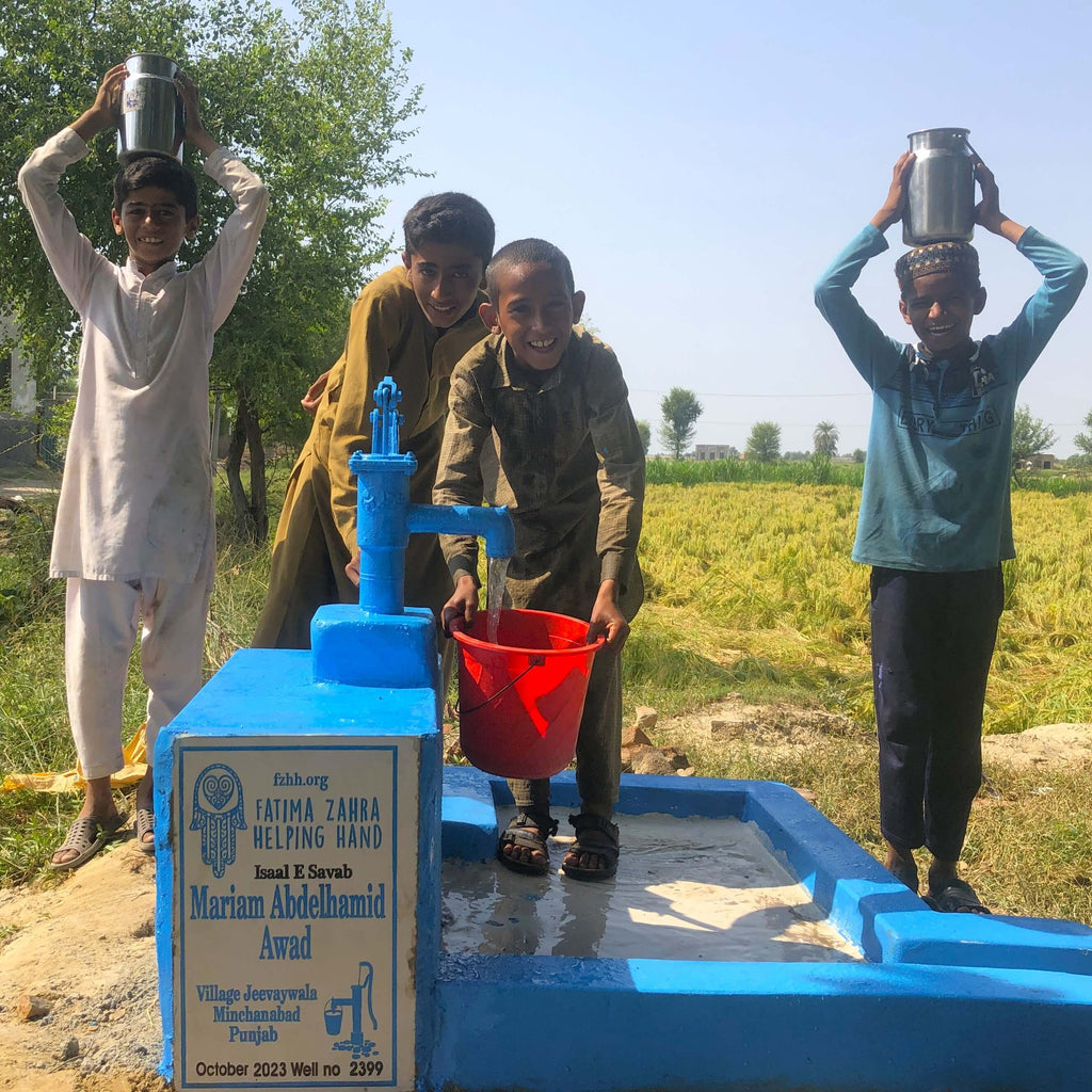 Punjab, Pakistan – Mariam Abdelhamid Awad – FZHH Water Well# 2399