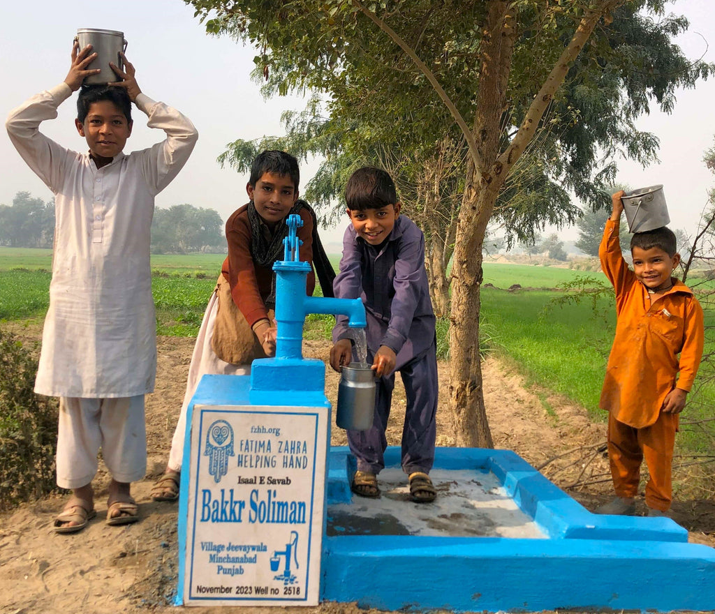 Punjab, Pakistan – Bakkr Soliman – FZHH Water Well# 2518