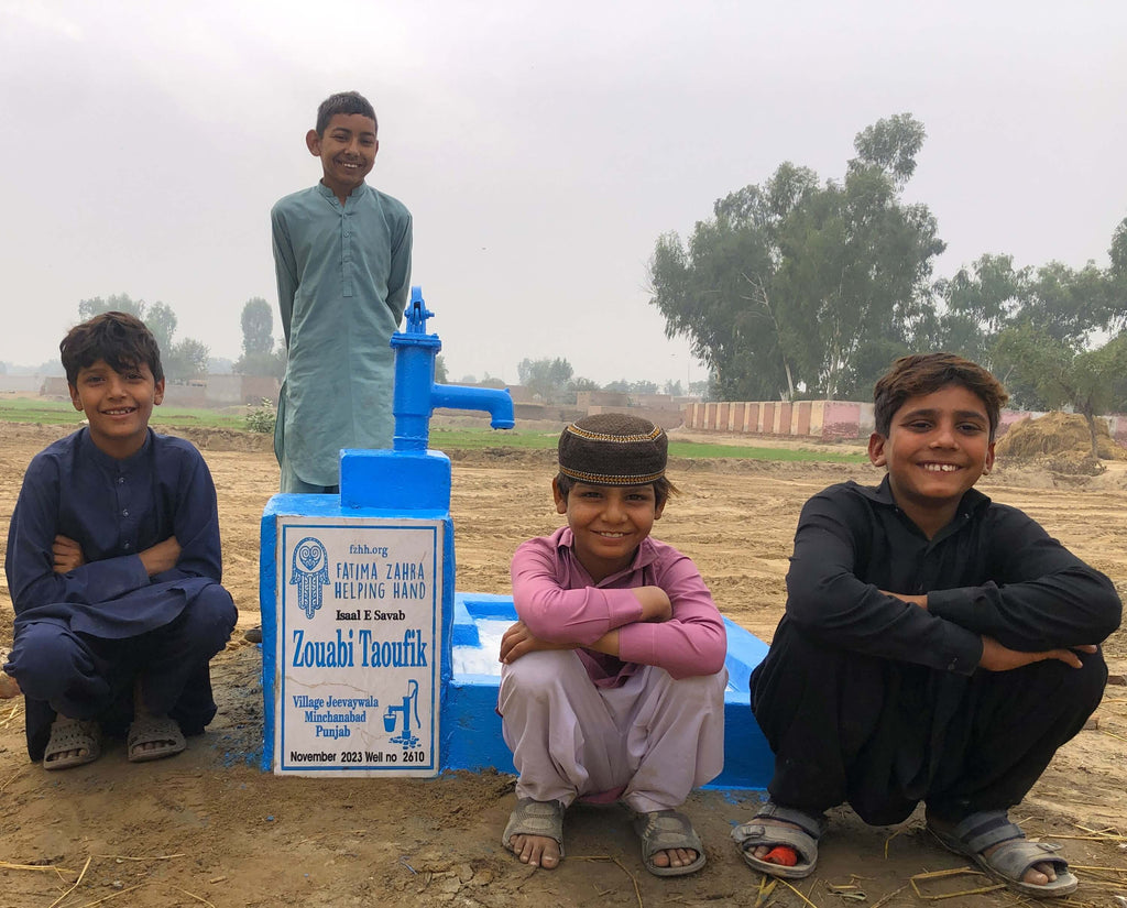 Punjab, Pakistan – Zouabi Taoufik – FZHH Water Well# 2610
