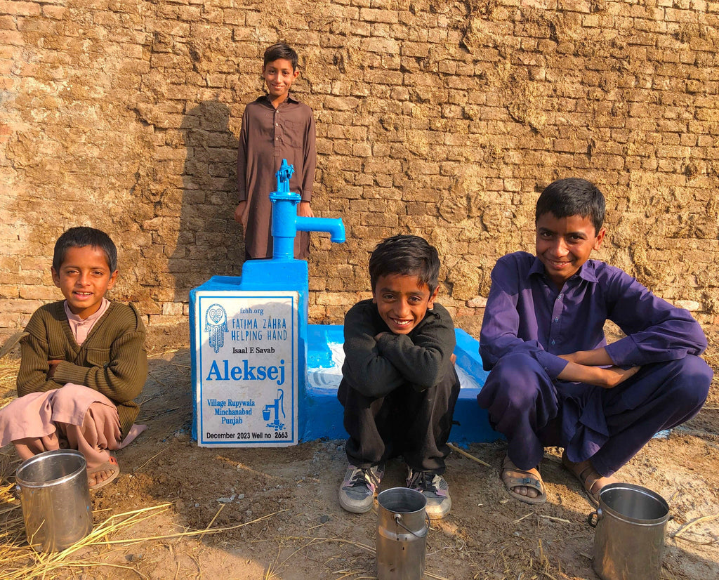 Punjab, Pakistan – Aleksej – FZHH Water Well# 2663