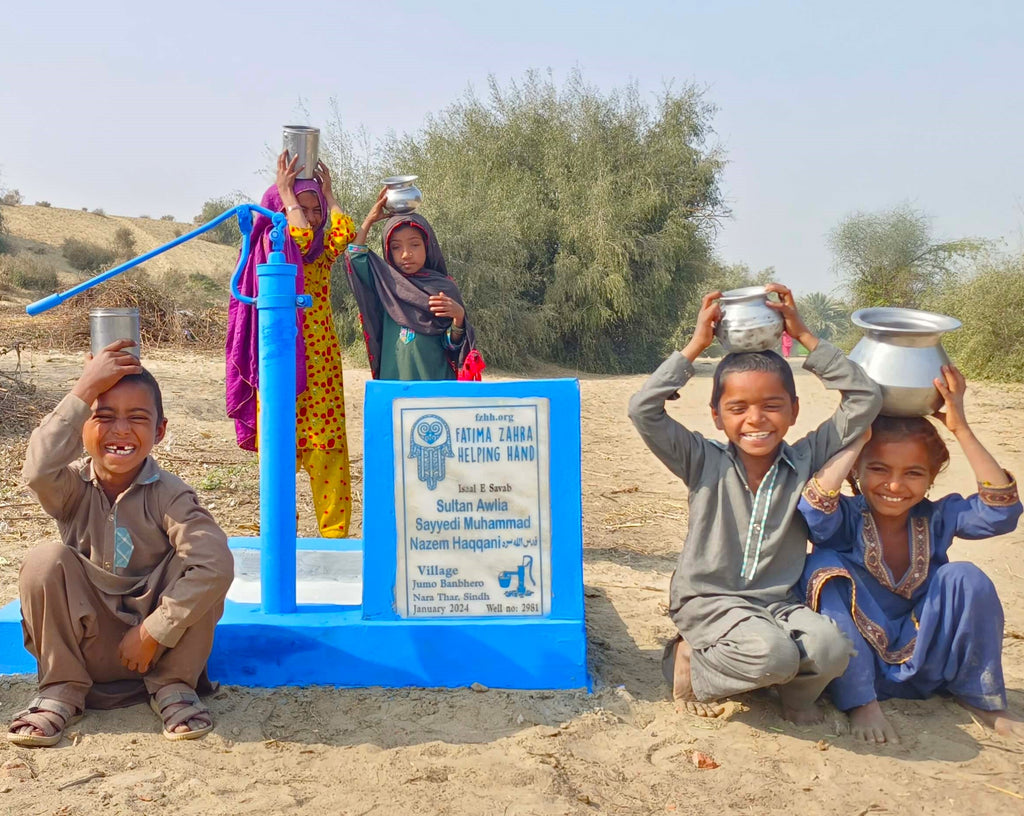 Sindh, Pakistan – Sultan Awlia Sayyedi Muhammad Nazem Haqqani – FZHH Water Well# 2981