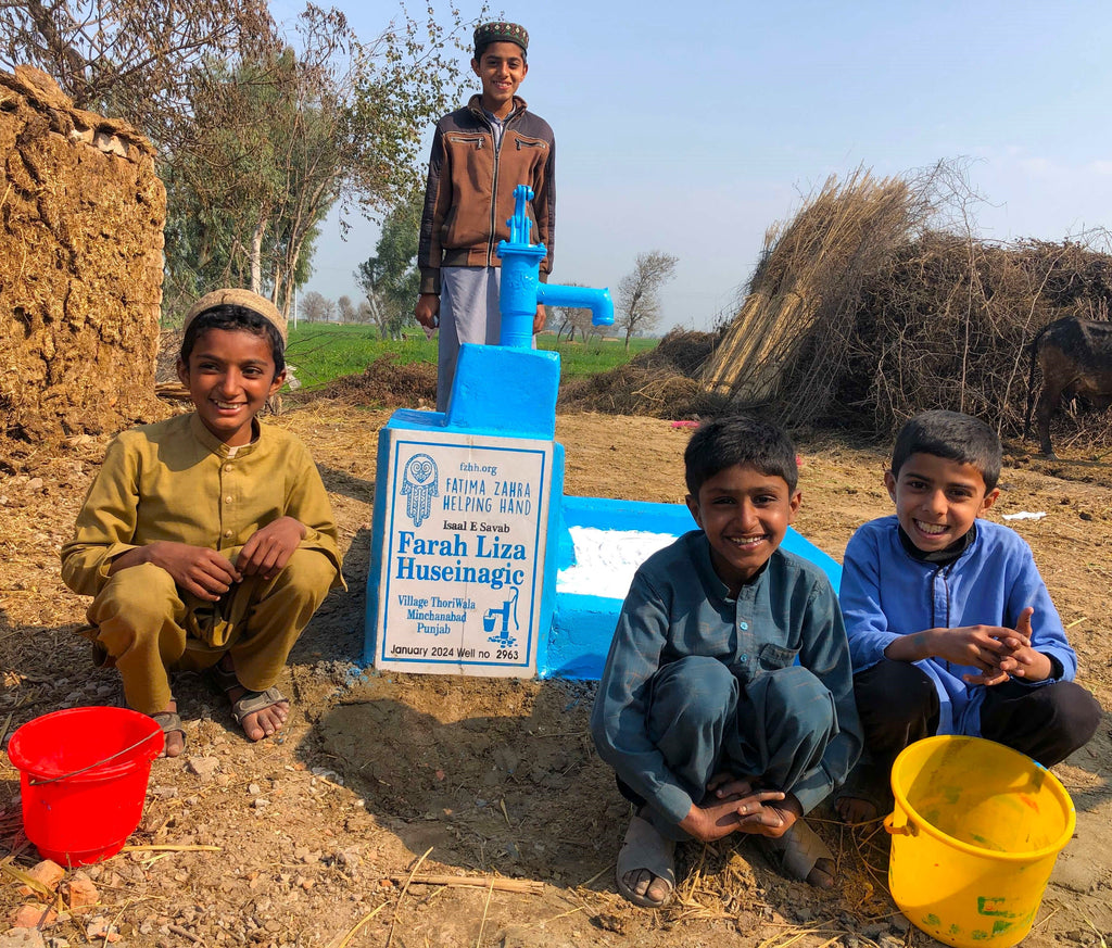 Punjab, Pakistan – Farah Liza Huseinagic – FZHH Water Well# 2963