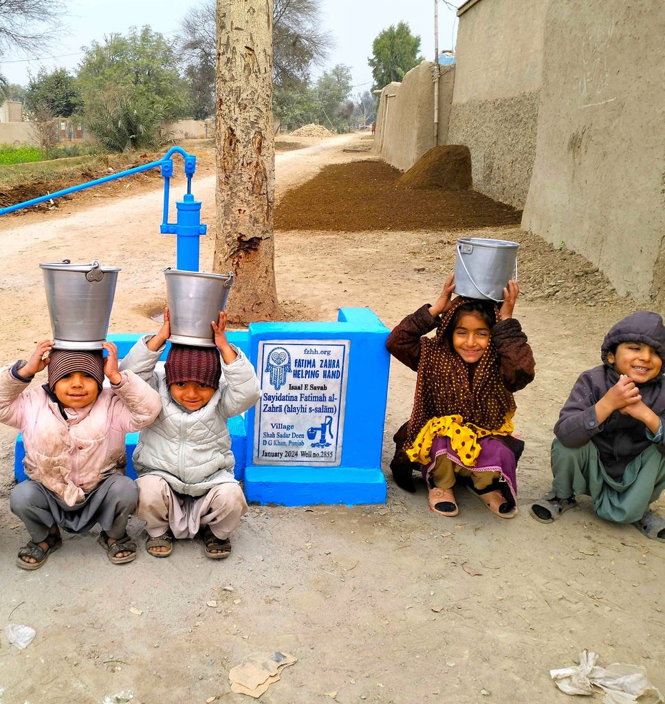 Punjab, Pakistan – Sayidatina Fatimah al-Zahrā (ʿalayhi s-salām) – FZHH Water Well# 2855