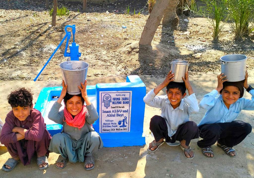 Punjab, Pakistan – Imam Ali ‎عليه السلام and Ahlul Bayt – FZHH Water Well# 3011