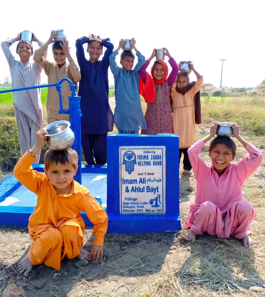Sindh, Pakistan – Imam Ali AS & Ahlul Bayt – FZHH Water Well# 3005