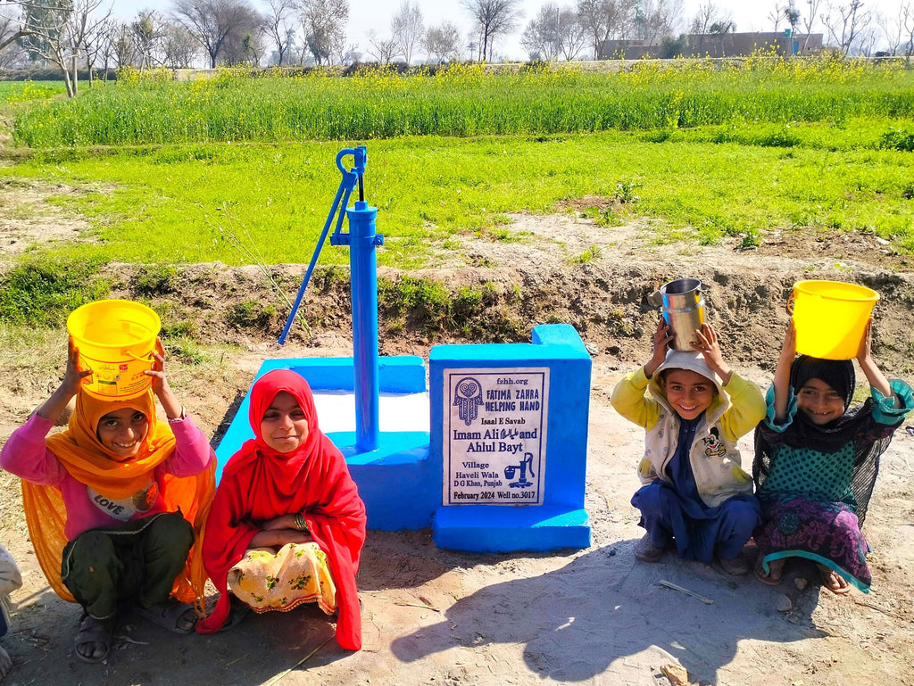 Punjab, Pakistan – Imam Ali ‎عليه السلام and Ahlul Bayt – FZHH Water Well# 3017