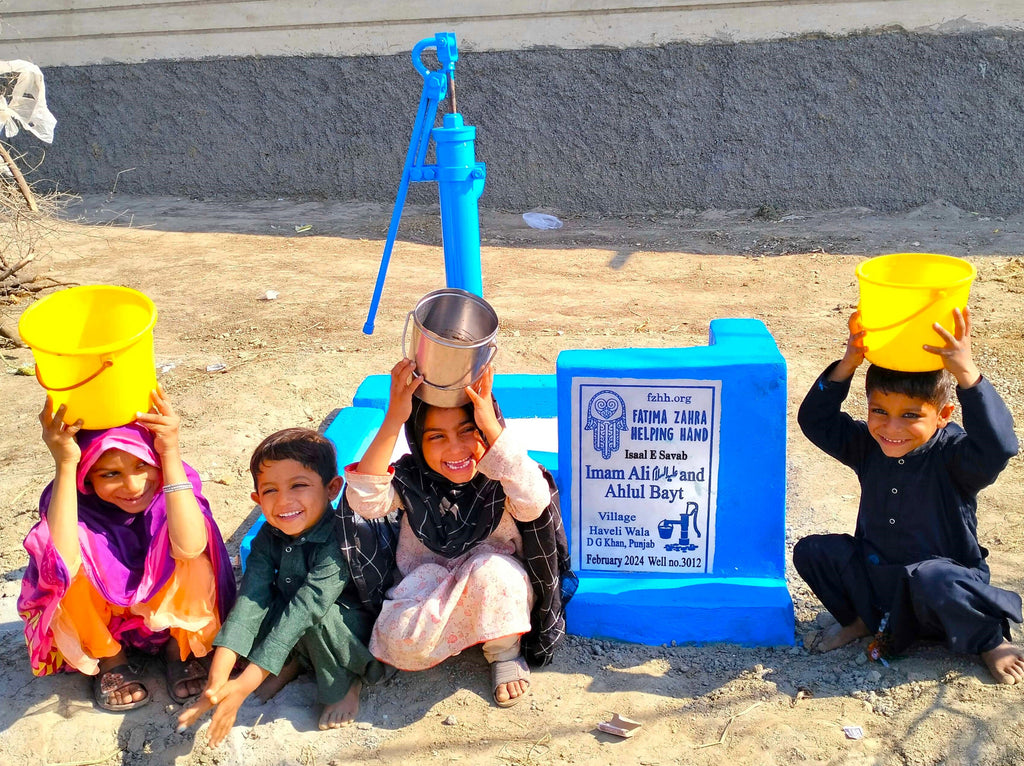 Punjab, Pakistan – Imam Ali ‎عليه السلام and Ahlul Bayt – FZHH Water Well# 3012